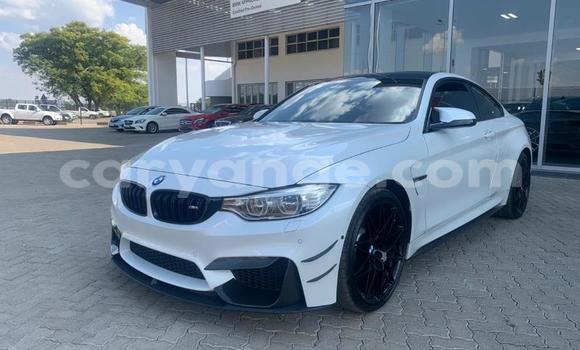 Buy Used BMW M4 White Car in Karasburg in Karas Buy Used BMW M4 White Car in Karasburg in Karas