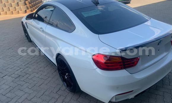 Buy Used BMW M4 White Car in Karasburg in Karas Buy Used BMW M4 White Car in Karasburg in Karas