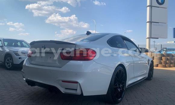 Buy Used BMW M4 White Car in Karasburg in Karas Buy Used BMW M4 White Car in Karasburg in Karas
