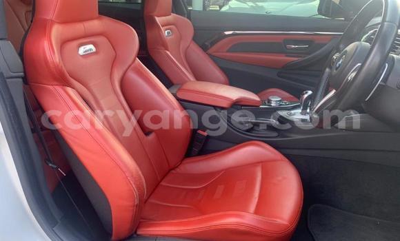 Buy Used BMW M4 White Car in Karasburg in Karas Buy Used BMW M4 White Car in Karasburg in Karas