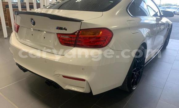 Buy Used BMW M4 White Car in Karasburg in Karas Buy Used BMW M4 White Car in Karasburg in Karas