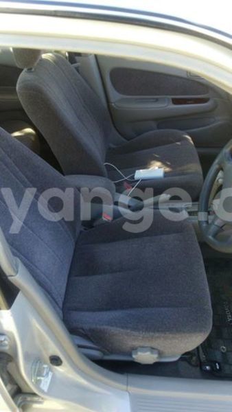 Big with watermark 13312728 1164500120247770 6829485803623282850 n