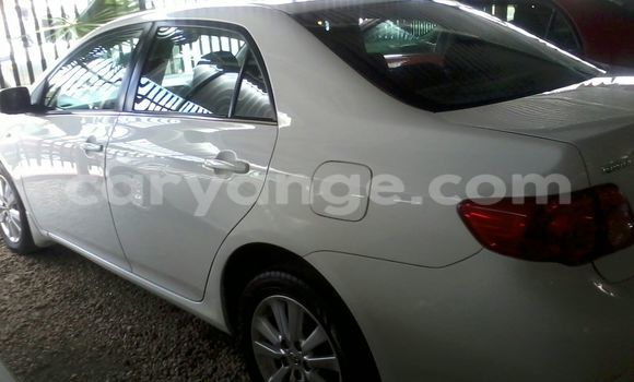 Buy Used Toyota Corolla Silver Car in Windhoek in Namibia Buy Used Toyota Corolla Silver Car in Windhoek in Namibia