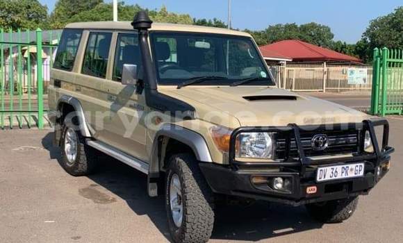 Buy Used Toyota Land Cruiser Beige Car in Warmbad in Karas