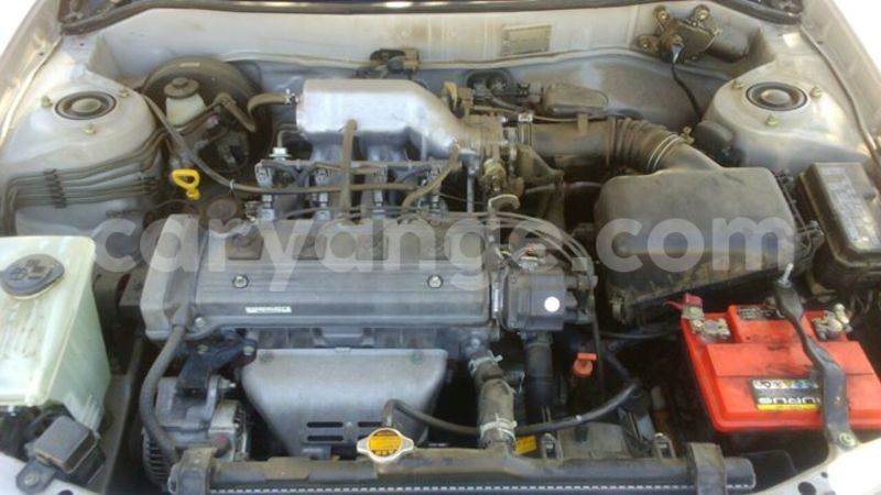 Big with watermark 13323647 1164500060247776 5358817792086686503 o