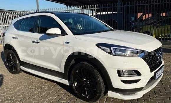 Buy Used Hyundai Tucson White Car in Walvis Bay in Namibia