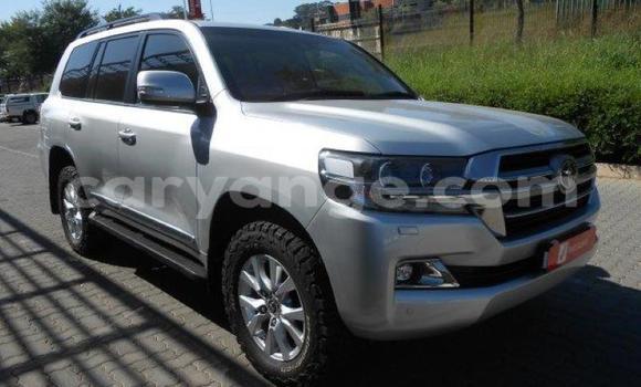 Buy Used Toyota Land Cruiser Silver Car in Henties Bay in Erongo