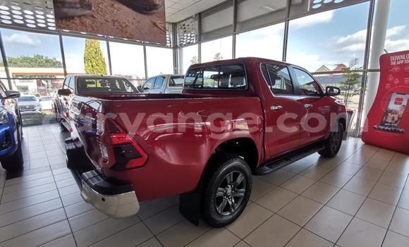 Buy Used Toyota Hilux Red Car in Grootfontein in Namibia Buy Used Toyota Hilux Red Car in Grootfontein in Namibia