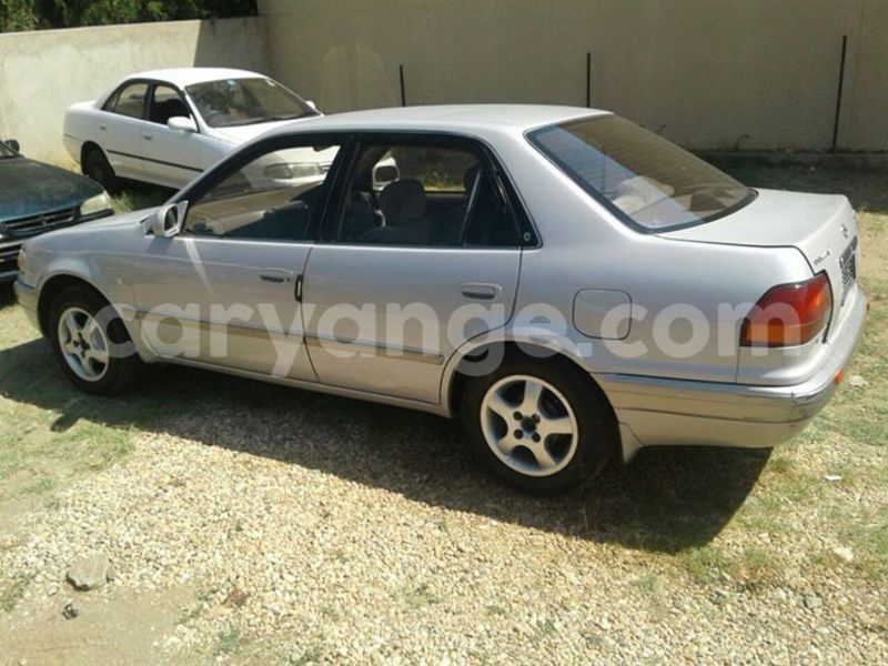 Big with watermark 12977075 10209462261859785 644360135805906909 o