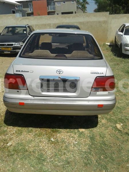 Big with watermark 13015115 10209462261459775 7006120742674623814 n