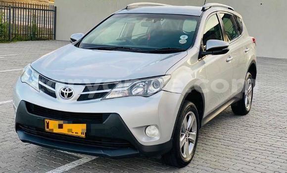 Buy Used Toyota RAV4 Silver Car in Windhoek in Namibia