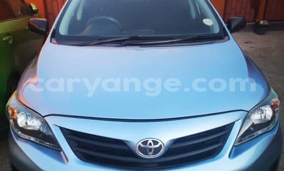 Buy Used Toyota Corolla Blue Car in Windhoek in Namibia