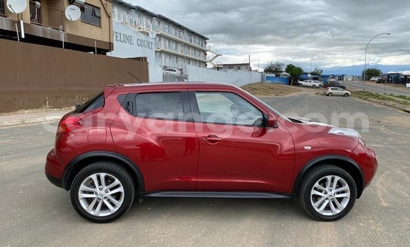 Buy Used Nissan Juke Red Car in Windhoek in Namibia