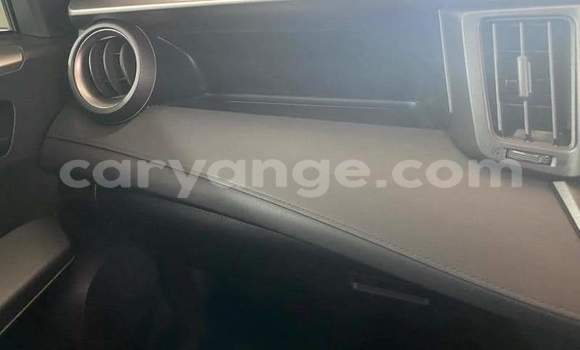 Acheter Occasion Voiture Toyota RAV4 Blanc à Walvis Bay, Namibie Acheter Occasion Voiture Toyota RAV4 Blanc à Walvis Bay, Namibie