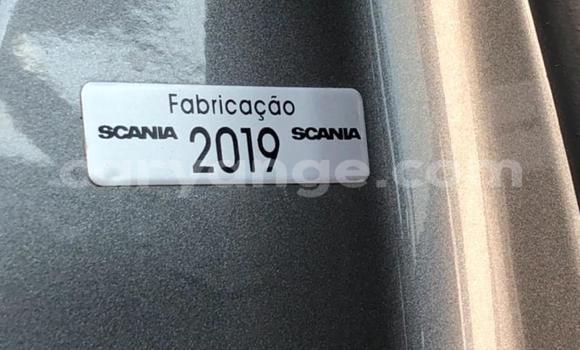 Acheter Occasion Utilitaire Scania Irizar Autre à Windhoek, Namibie Acheter Occasion Utilitaire Scania Irizar Autre à Windhoek, Namibie