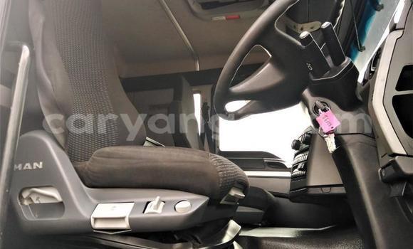 Acheter Occasion Utilitaire Man M2000 Autre à Windhoek, Namibie Acheter Occasion Utilitaire Man M2000 Autre à Windhoek, Namibie