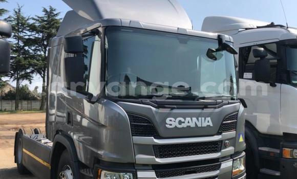 Buy Used Scania R420 Silver Truck in Windhoek in Namibia Buy Used Scania R420 Silver Truck in Windhoek in Namibia