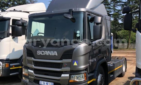 Buy Used Scania R420 Silver Truck in Windhoek in Namibia Buy Used Scania R420 Silver Truck in Windhoek in Namibia