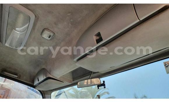 Buy Used Isuzu FTR 850 White Truck in Windhoek in Namibia Buy Used Isuzu FTR 850 White Truck in Windhoek in Namibia