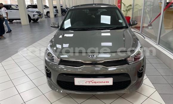Buy Used Kia Rio Silver Car in Windhoek in Namibia Buy Used Kia Rio Silver Car in Windhoek in Namibia