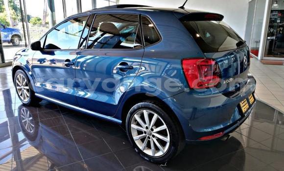 Buy Used Volkswagen Polo Blue Car in Windhoek in Namibia Buy Used Volkswagen Polo Blue Car in Windhoek in Namibia