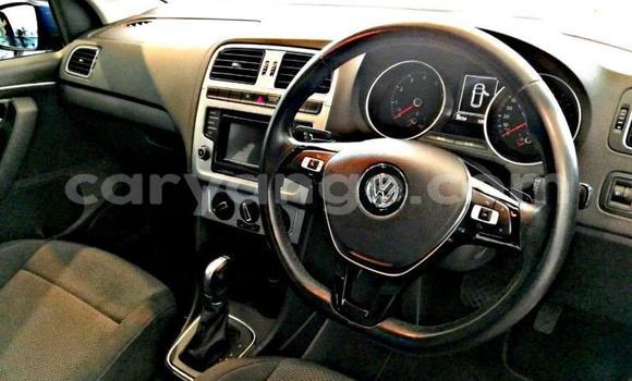 Buy Used Volkswagen Polo Blue Car in Windhoek in Namibia Buy Used Volkswagen Polo Blue Car in Windhoek in Namibia