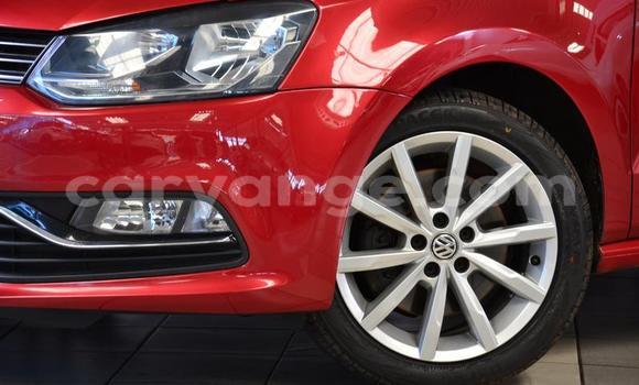 Buy Used Volkswagen Polo Red Car in Windhoek in Namibia Buy Used Volkswagen Polo Red Car in Windhoek in Namibia
