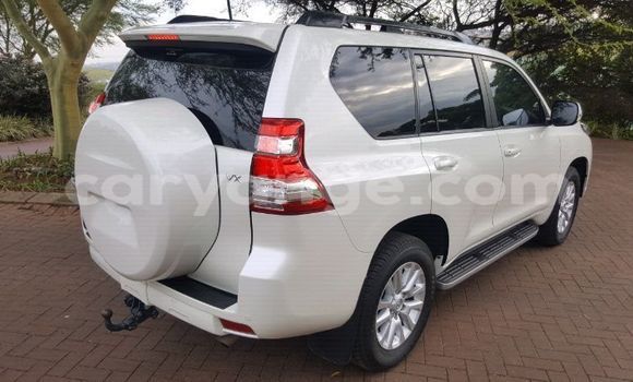 Buy Used Toyota Land Cruiser Prado White Car in Windhoek in Namibia