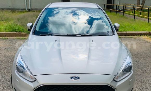 Buy Used Ford Focus Silver Car in Arandis in Kunene