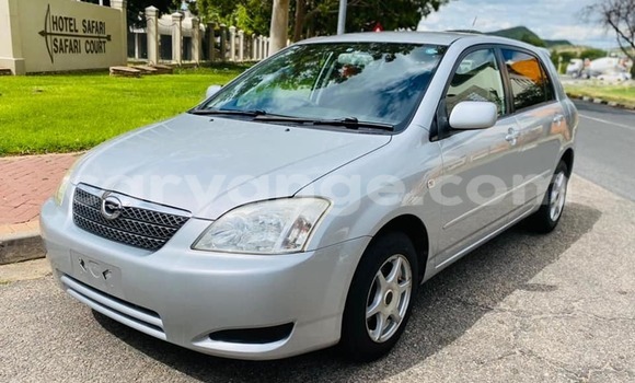 Buy Used Toyota Runx Silver Car in Arandis in Kunene