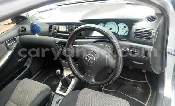 Acheter Occasion Voiture Toyota Runx Bleu à Arandis, Kunene Acheter Occasion Voiture Toyota Runx Bleu à Arandis, Kunene