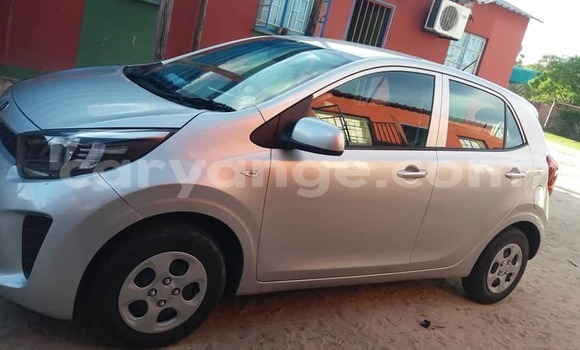 Acheter Occasion Voiture Kia Picanto Gris à Arandis, Kunene Acheter Occasion Voiture Kia Picanto Gris à Arandis, Kunene