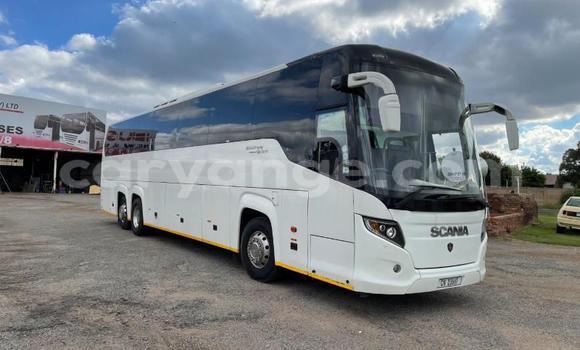 Buy Used Scania Irizar White Truck in Windhoek in Namibia