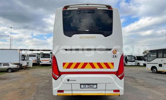 Buy Used Scania Irizar White Truck in Windhoek in Namibia Buy Used Scania Irizar White Truck in Windhoek in Namibia