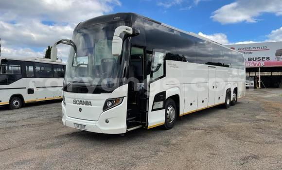 Buy Used Scania Irizar White Truck in Windhoek in Namibia Buy Used Scania Irizar White Truck in Windhoek in Namibia