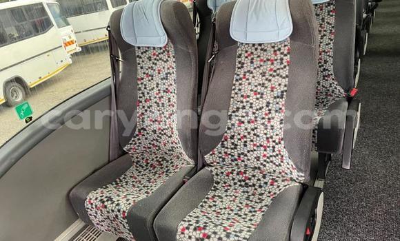 Buy Used Scania Irizar White Truck in Windhoek in Namibia Buy Used Scania Irizar White Truck in Windhoek in Namibia