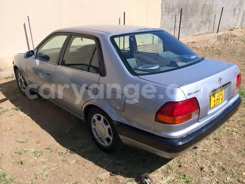 Big with watermark 1937173 1051938801493255 2932911898855574123 n