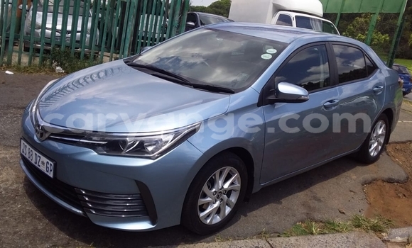 Acheter Occasion Voiture Toyota Corolla Bleu à Windhoek, Namibie