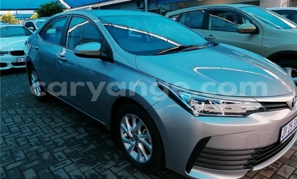 Buy Used Toyota Corolla Silver Car in Windhoek in Namibia