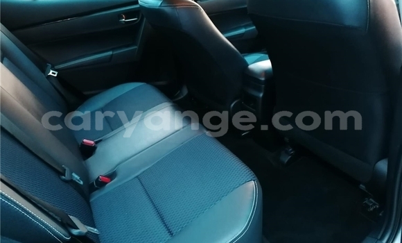 Acheter Occasion Voiture Toyota Corolla Gris à Windhoek, Namibie Acheter Occasion Voiture Toyota Corolla Gris à Windhoek, Namibie