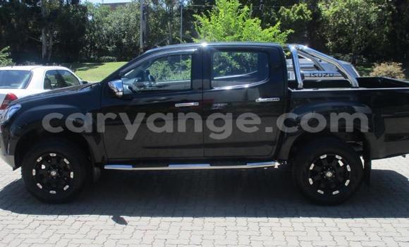 Buy Used Isuzu KB Black Car in Windhoek in Namibia Buy Used Isuzu KB Black Car in Windhoek in Namibia