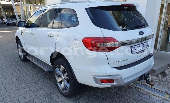 Buy Used Ford Everest White Car in Grootfontein in Namibia Buy Used Ford Everest White Car in Grootfontein in Namibia