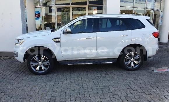Buy Used Ford Everest White Car in Grootfontein in Namibia Buy Used Ford Everest White Car in Grootfontein in Namibia