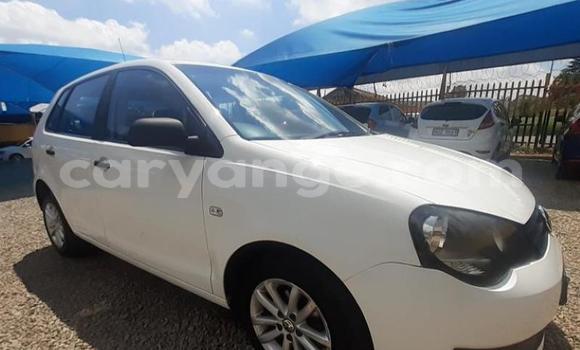 Buy Used Volkswagen Polo White Car in Windhoek in Namibia Buy Used Volkswagen Polo White Car in Windhoek in Namibia