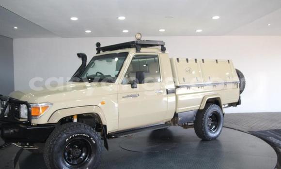 Buy Used Toyota Land Cruiser Beige Car in Windhoek in Namibia