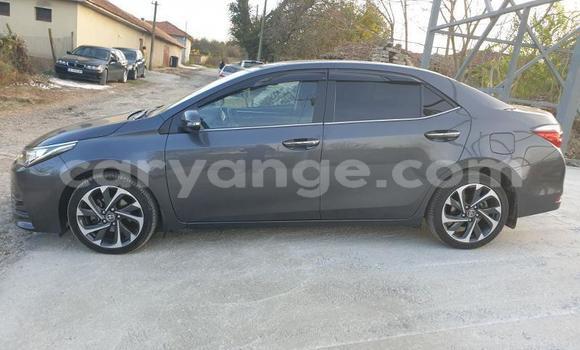 Acheter Occasion Voiture Toyota Corolla Autre à Windhoek, Namibie Acheter Occasion Voiture Toyota Corolla Autre à Windhoek, Namibie