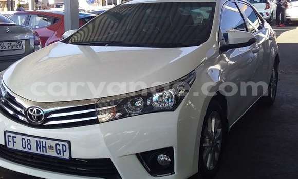 Buy Used Toyota Corolla White Car in Windhoek in Namibia