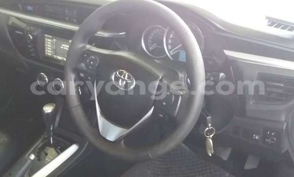 Buy Used Toyota Corolla White Car in Windhoek in Namibia Buy Used Toyota Corolla White Car in Windhoek in Namibia