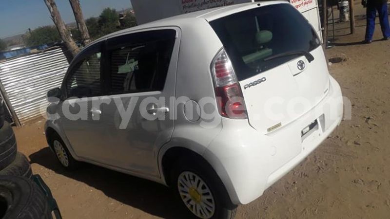 Big with watermark 30629329 194112211393369 244064733525704704 n