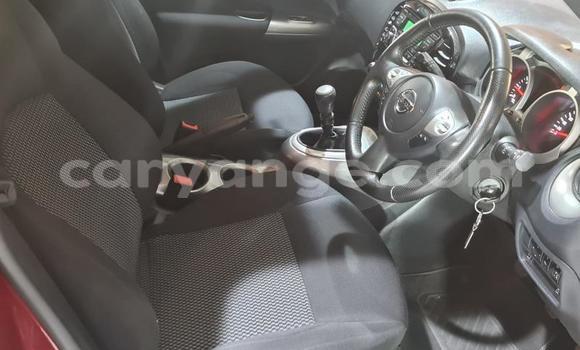 Buy Used Nissan Juke Red Car in Windhoek in Namibia Buy Used Nissan Juke Red Car in Windhoek in Namibia